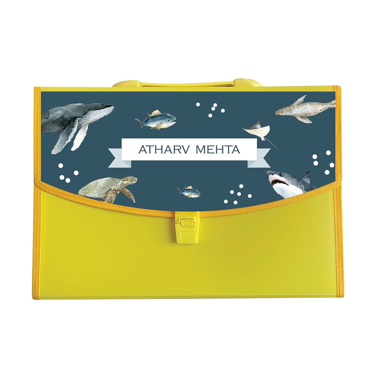 Horizontal Divider Folder