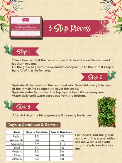 DIY Microgreens Eco-Friendly Kit - Red Amranthus