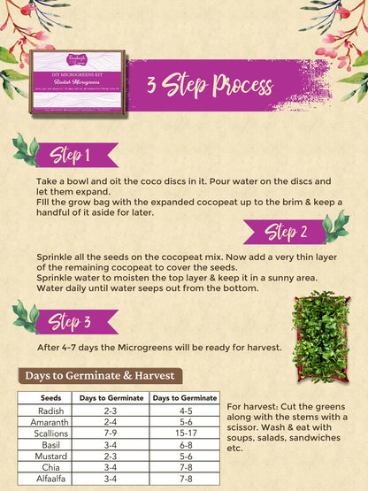 DIY Microgreens Eco-Friendly Kit - Radish