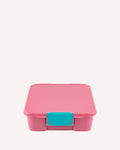 Little Lunch Box Co Bento Five - Strawberry