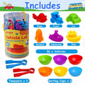Open Ended Vehicle Lab Montessori Sorting Toy (44 Pcs)-Learning & Education-Open Ended-Toycra