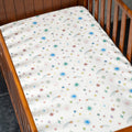 Starlight Wanderers Bed Sheet