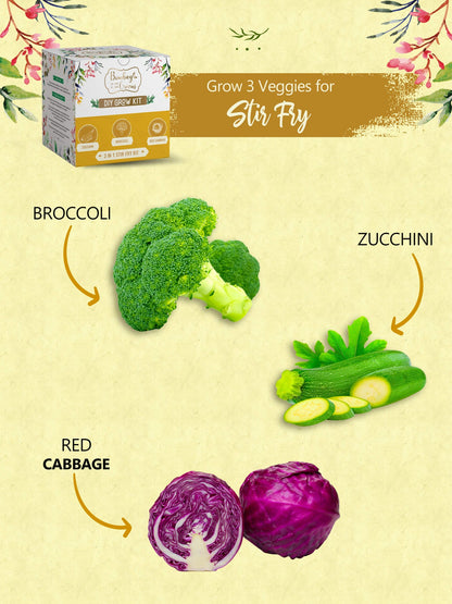 Stir Fry Kit - Zucchini, Broccoli, Red Cabbage