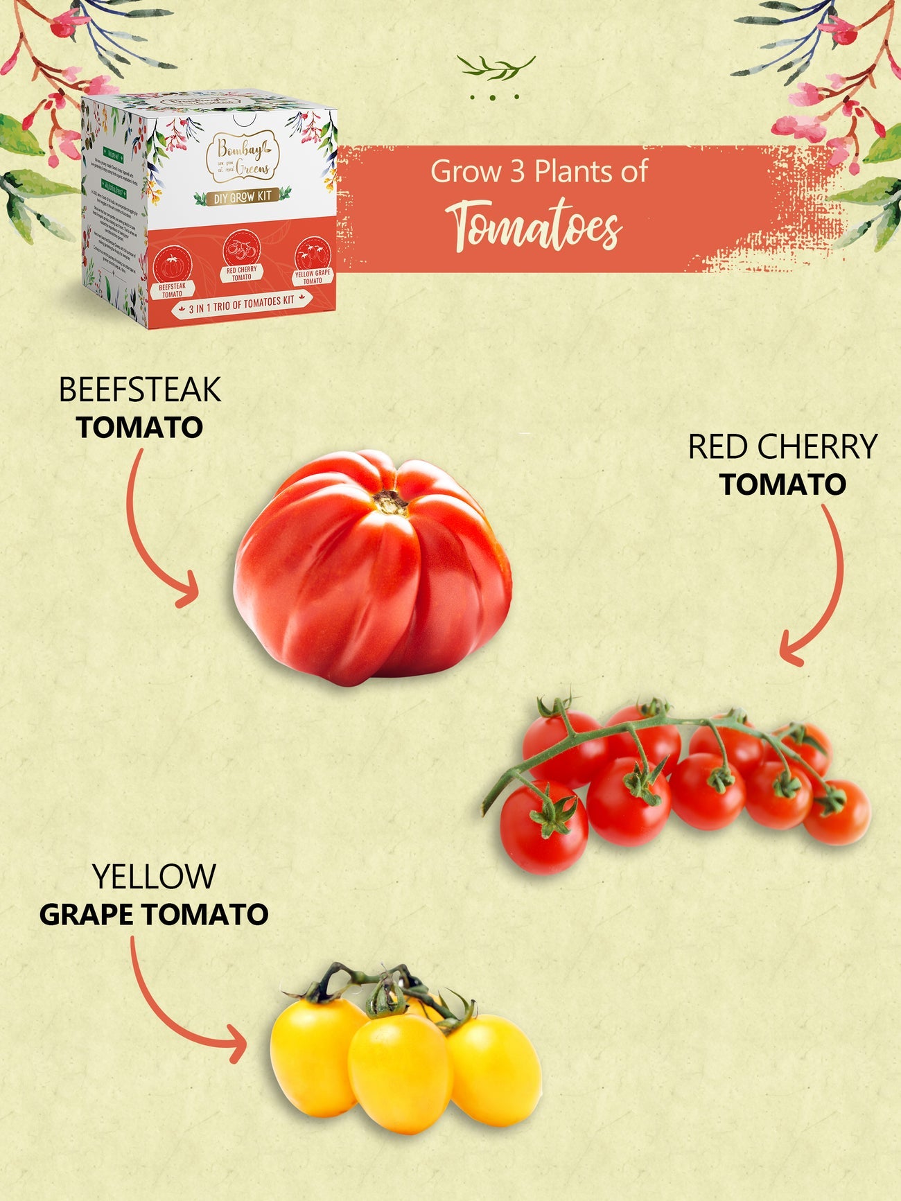 Tomato Kit - Grow Beefsteak, Red Cherry, Yellow Grape