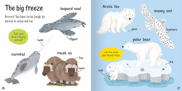 Wonderful Words: Animals!