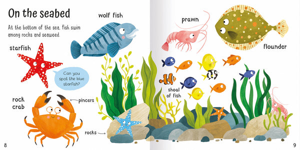 Wonderful Words: Under the Sea!