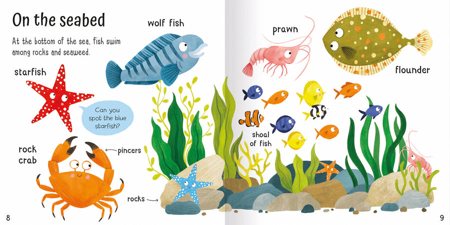 Wonderful Words: Under the Sea!
