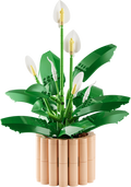 Peace Lily V29