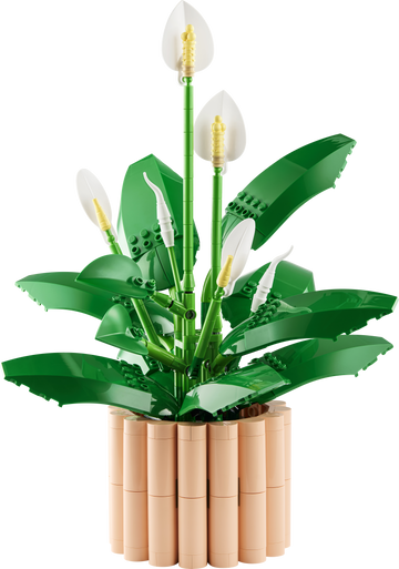 Peace Lily V29