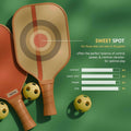Lifelong Professional Pickleball Paddle Set - Fiberglass Surface 2 Pickle Ball Balls & Paddle Cover Bag