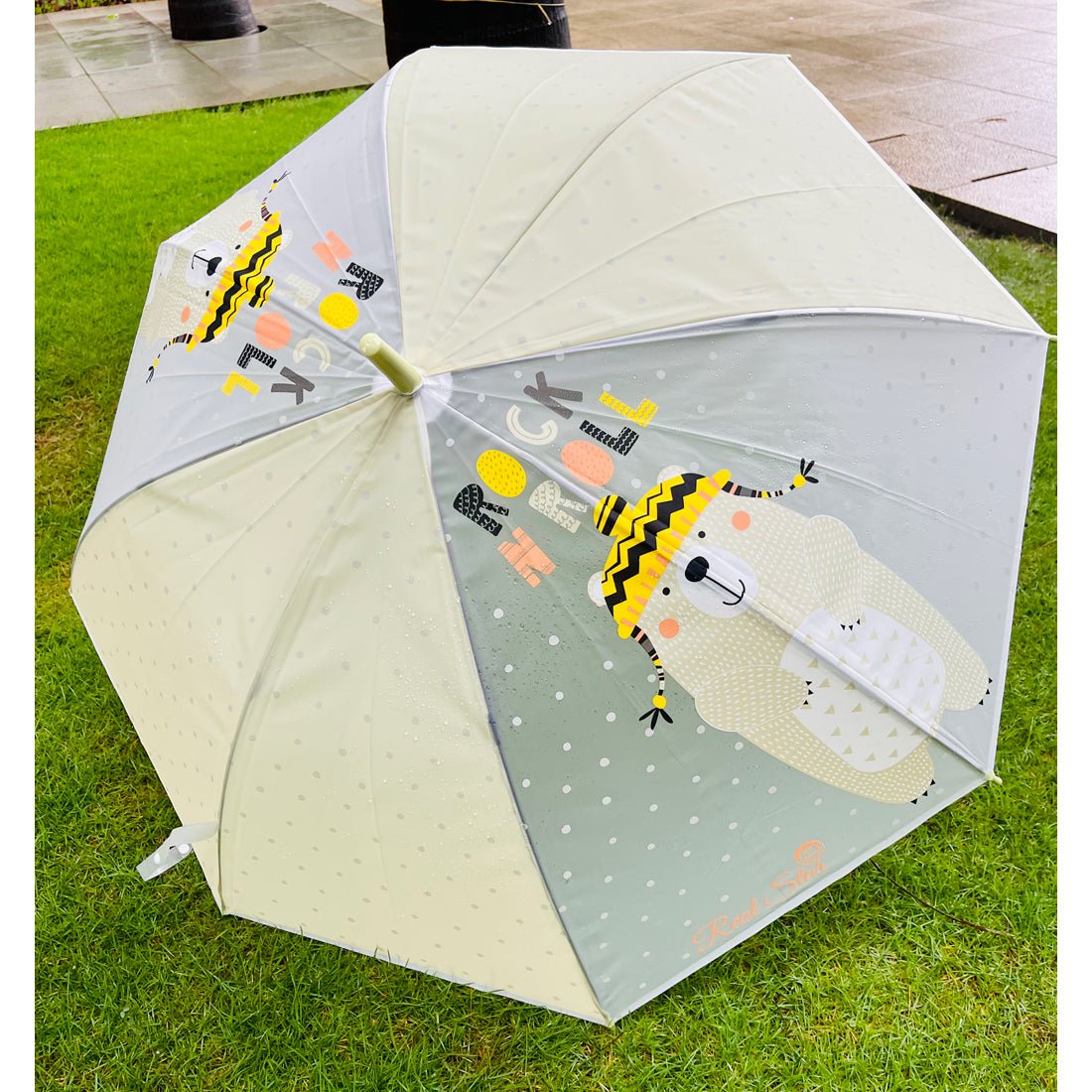 Little Surprise Box, Olive Green, Translucent Rock and Roll Kelly Jo Teddy print with polka dots, Rain and All-season Umbrella for Kids & Adults.