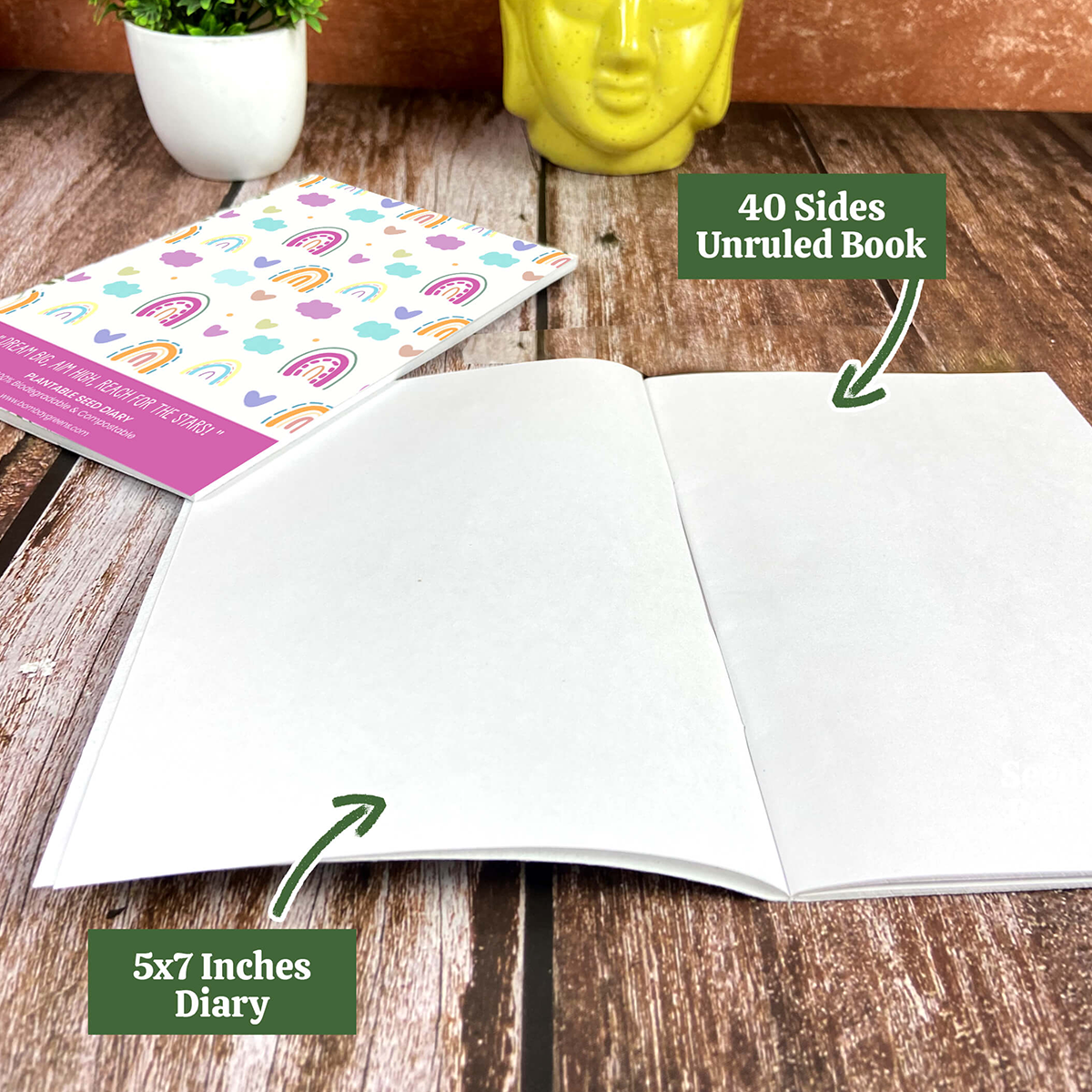 Plantable Stationery - Rainbow