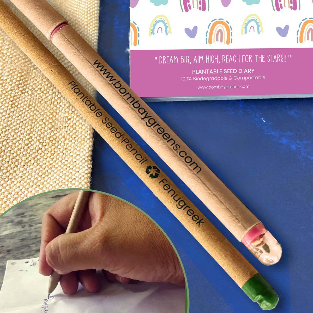Plantable Stationery - Rainbow