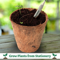 Plantable Stationery - Rainbow