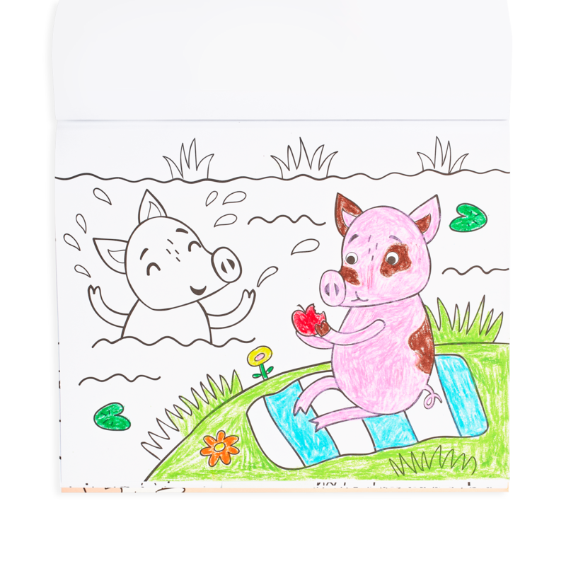 Colorin Book - Little Farm Friends