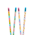 Graphite Pencils - Set of 12 - Sugar Joy