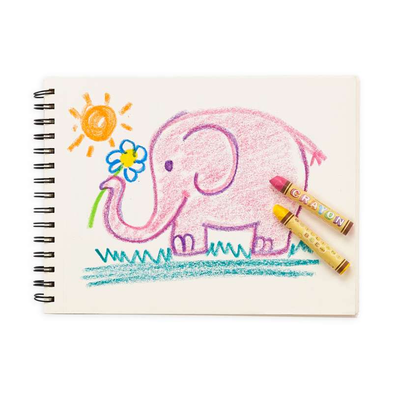 Brilliant Bee Crayons - Set of 12