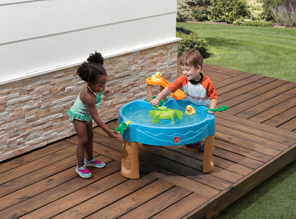 Step2 Duck Pond Water Table