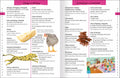 Junior Dictionary
