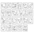 Animals Sticker Colouring Book
