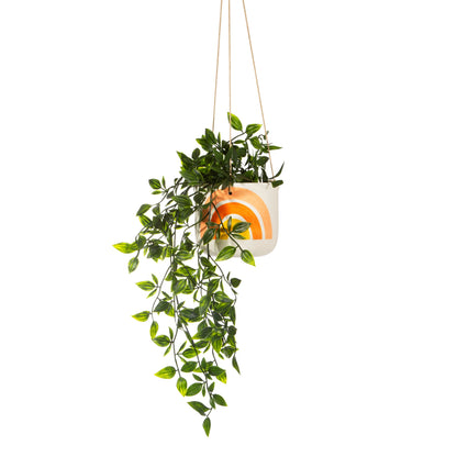 Rainbow Hanging Planter