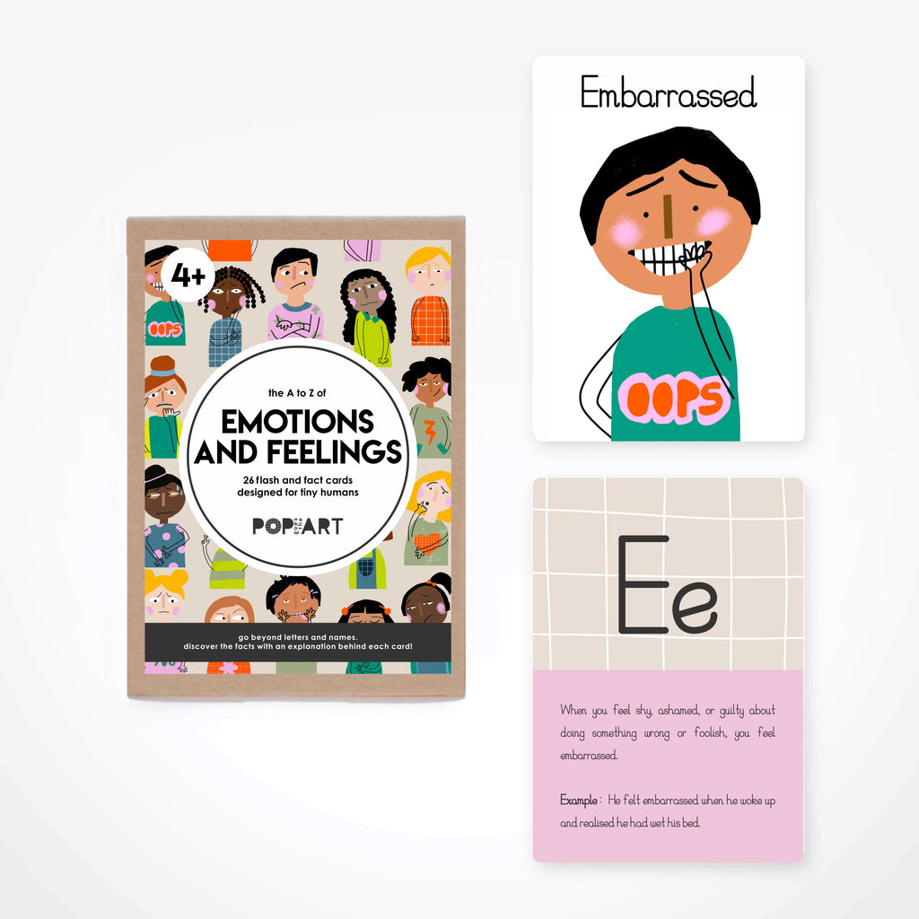 Fact & Flash Cards - Emotions and Feelings