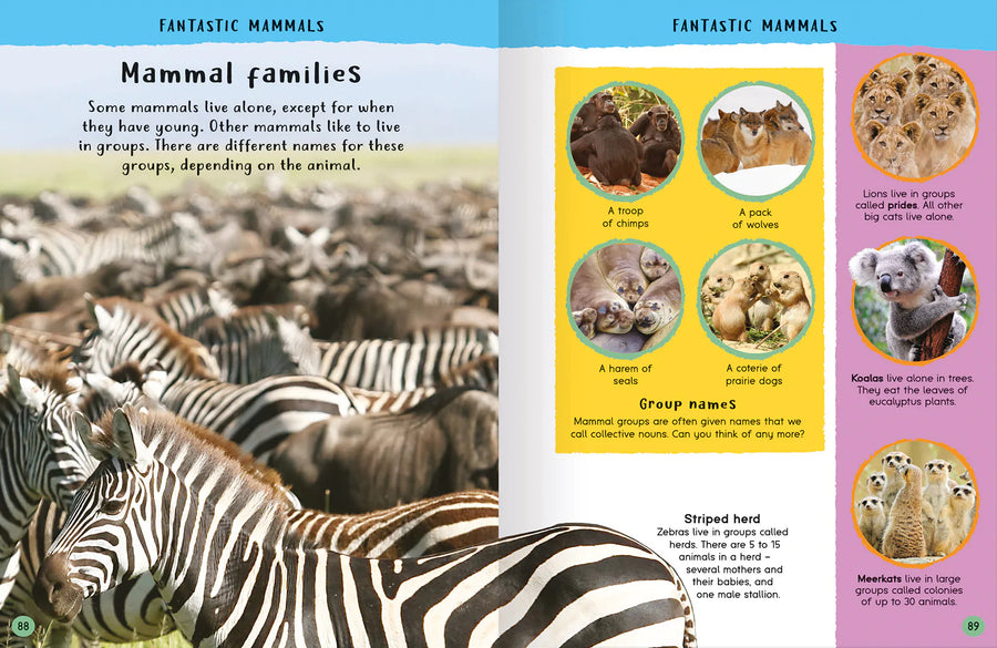 Encyclopedia of Amazing Facts