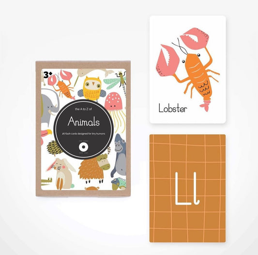 Flash Cards - 3 Options