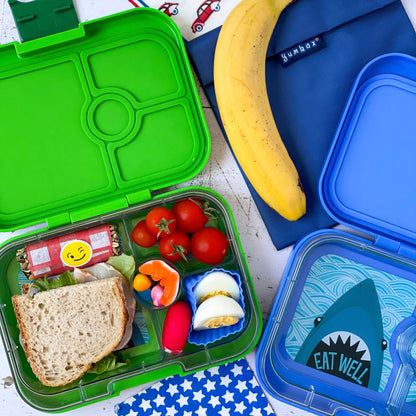 Yumbox 4 Section Panino- Bamboo Green Shark