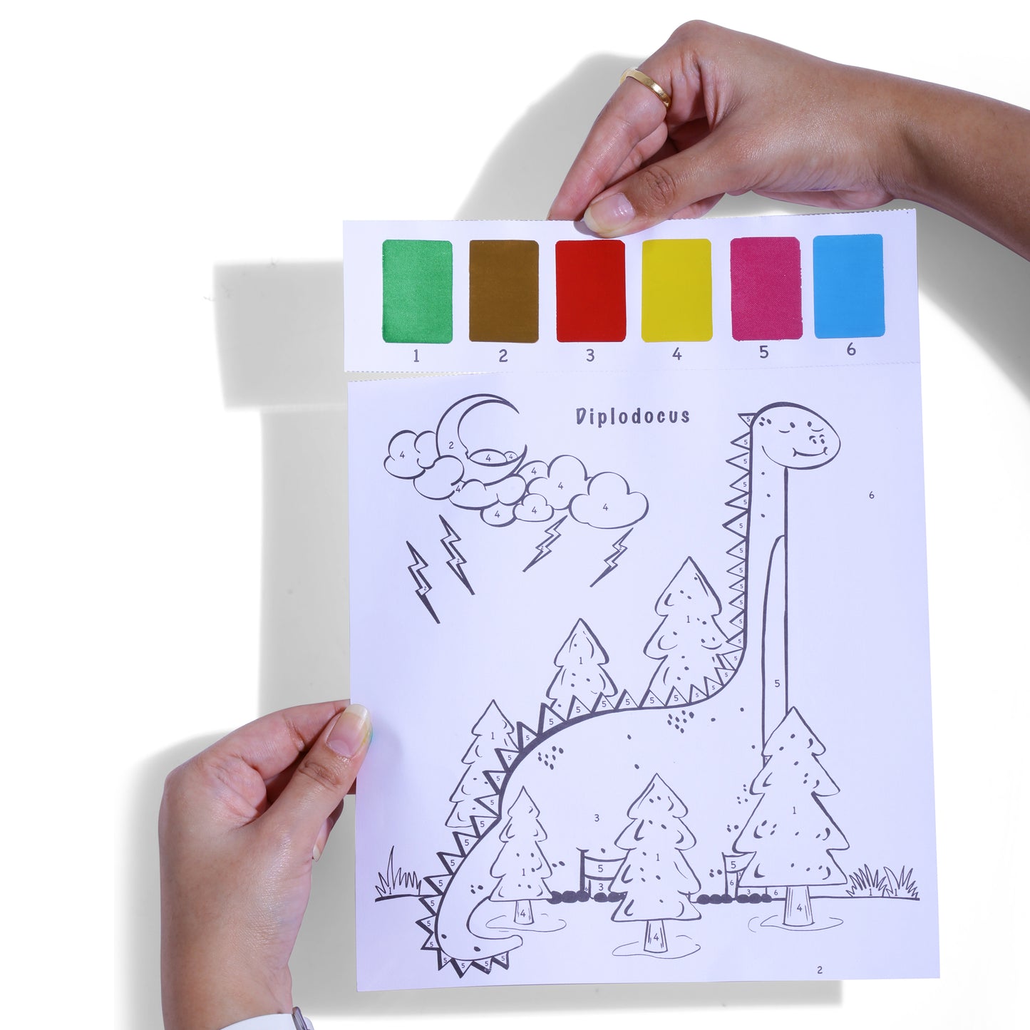 PepPlay Dinosaurs Coloring Book - Color Using Paint & Numbers