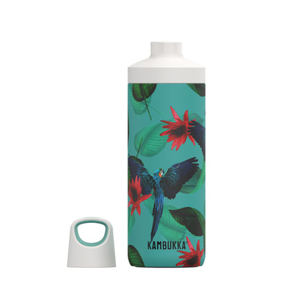 thinKitchen™ Kambukka Reno Parrots Stainless Steel Vacuum Insulated Water Bottle, 500ml