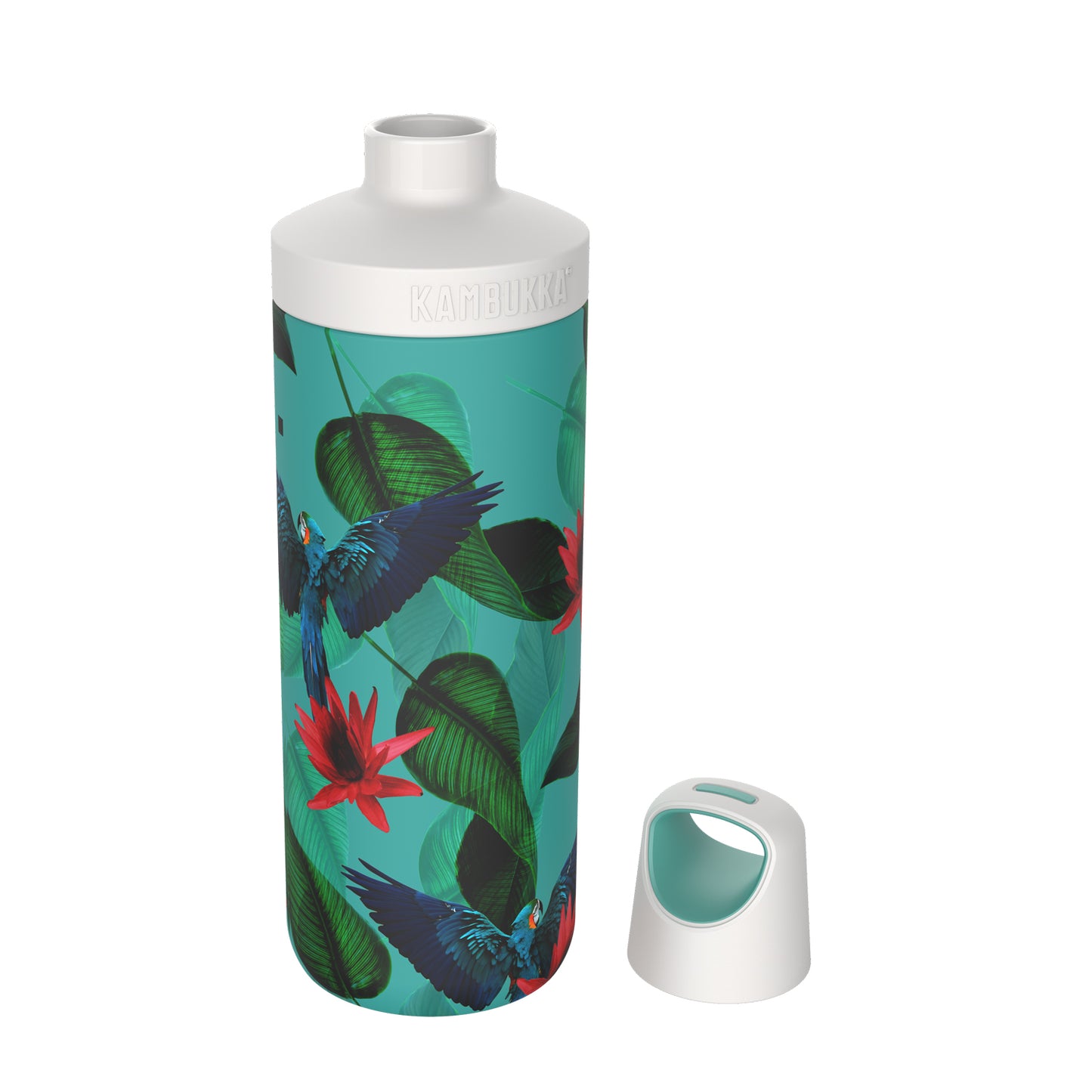 thinKitchen™ Kambukka Reno Parrots Stainless Steel Vacuum Insulated Water Bottle, 500ml