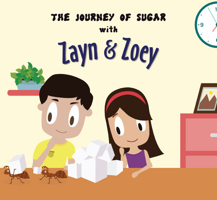 The Journey of Sugar