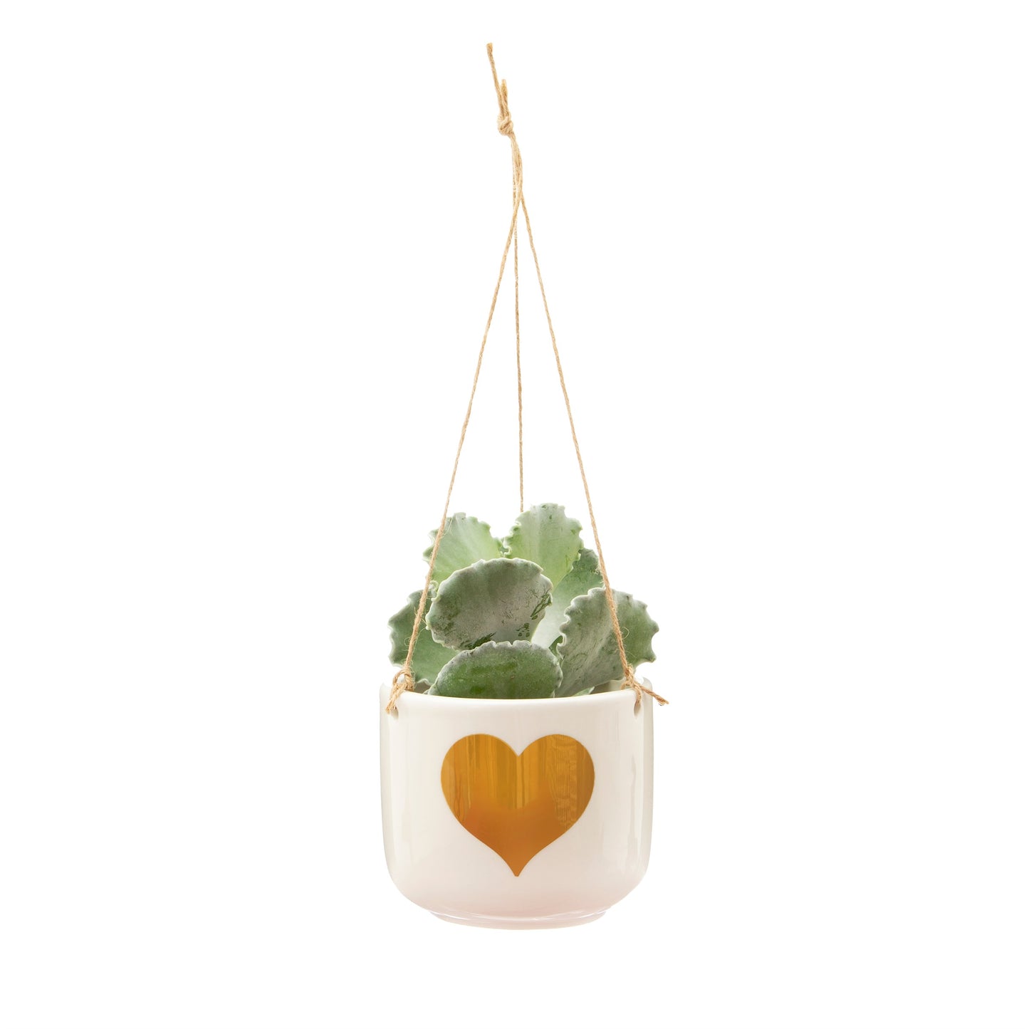 Gold Heart Hanging Planter