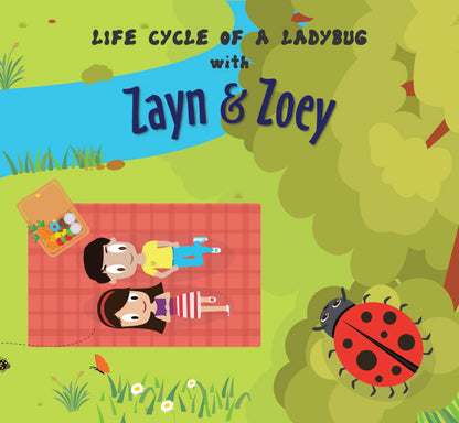 Life Cycle of A Ladybug