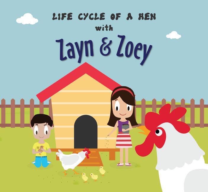 Life Cycle of A Hen