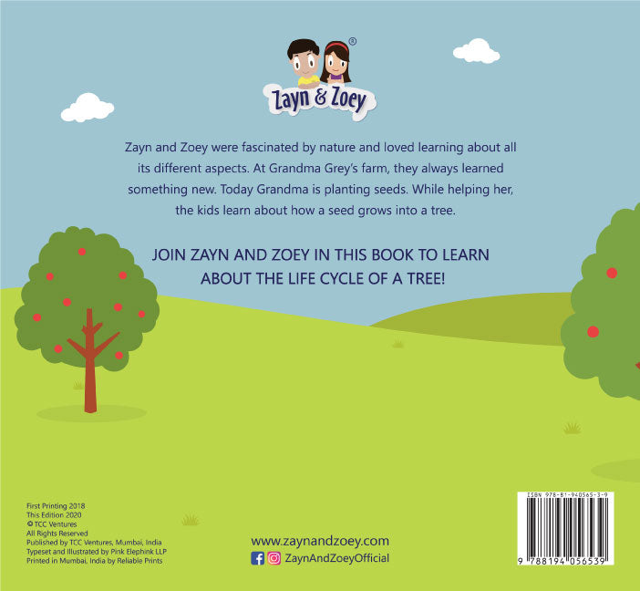 Life Cycle of A Tree